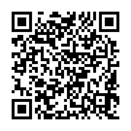 QR code for NNM393