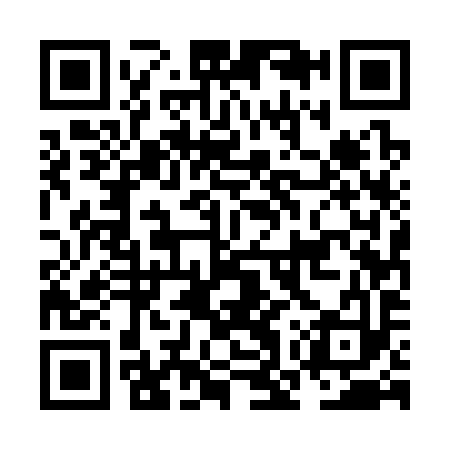 QR code for NOU393