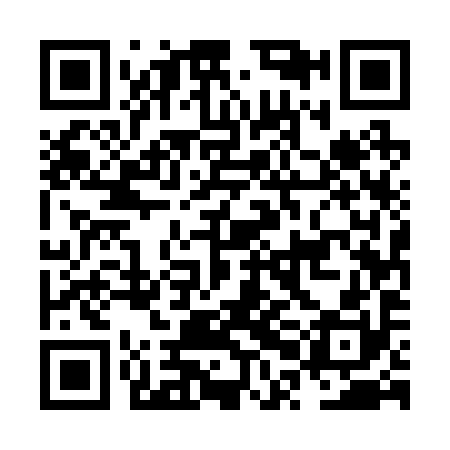 QR code for NPE290