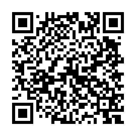 QR code for NQE461
