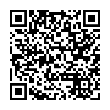 QR code for NSG386