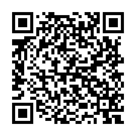 QR code for NUS955