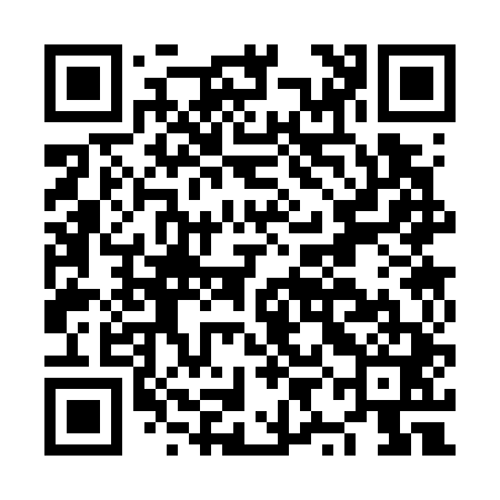 QR code for NYC741