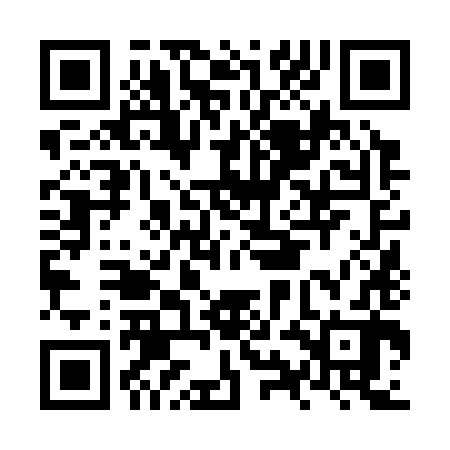 QR code for NYN382