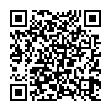 QR code for NYT729