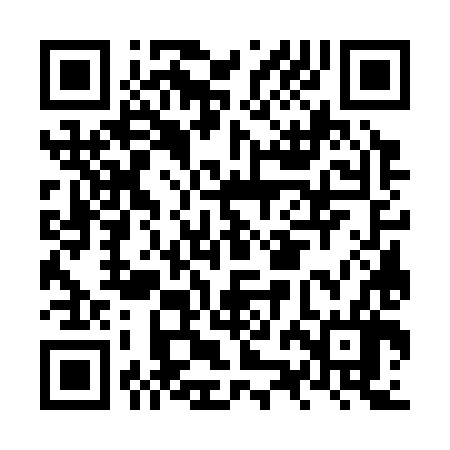 QR code for NZG386