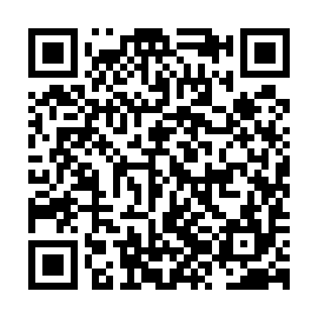 QR code for NZI594