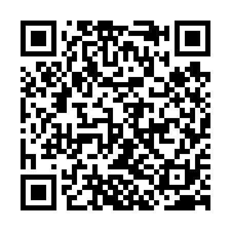 QR code for ODG611