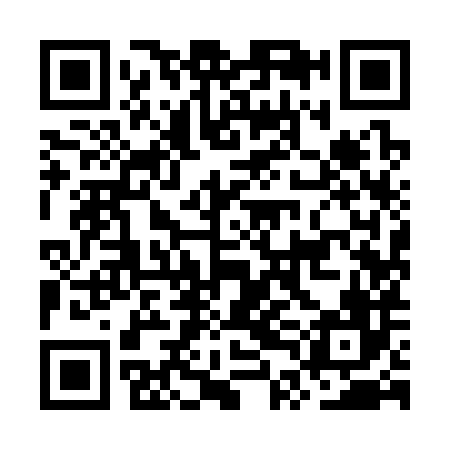 QR code for OTI386