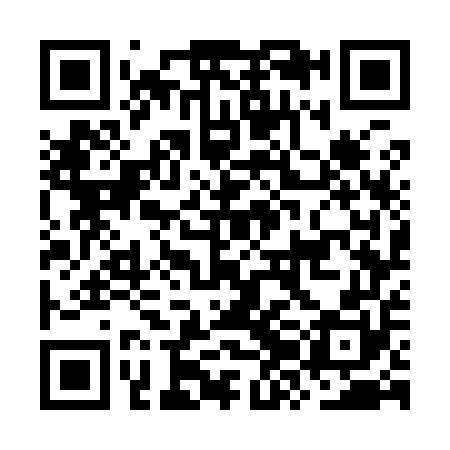 QR code for OZG950