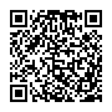QR code for PAA066