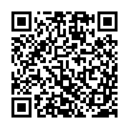 QR code for PAA243