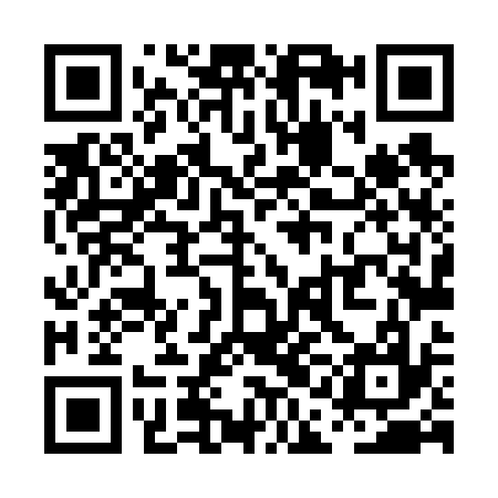 QR code for PAL637