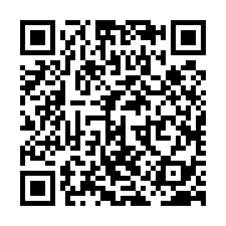 QR code for PAR539