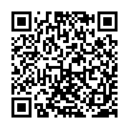 QR code for PAS393