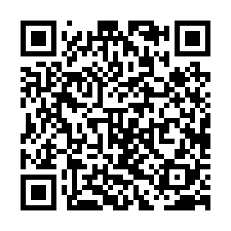 QR code for PDP228