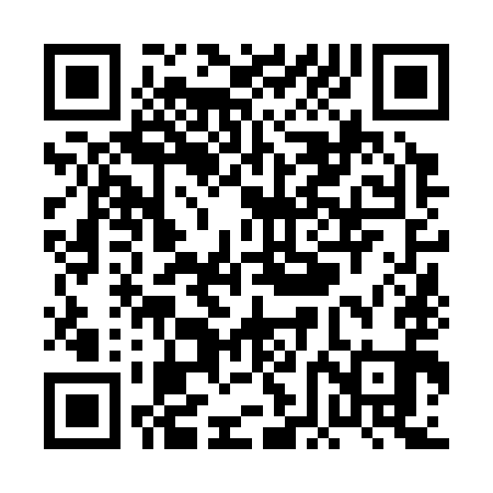 QR code for PFN391