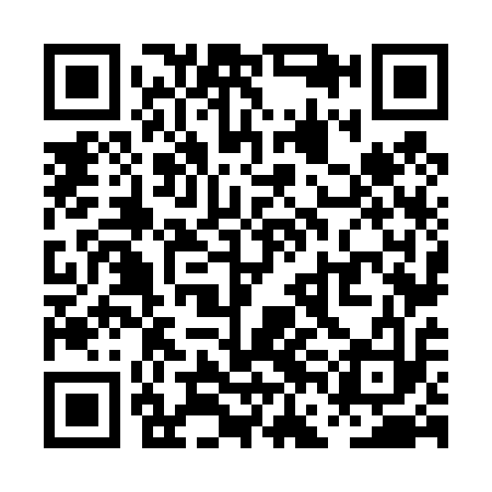 QR code for PFN413
