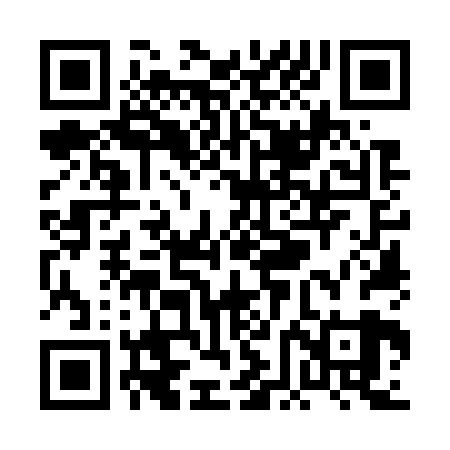 QR code for PFO729