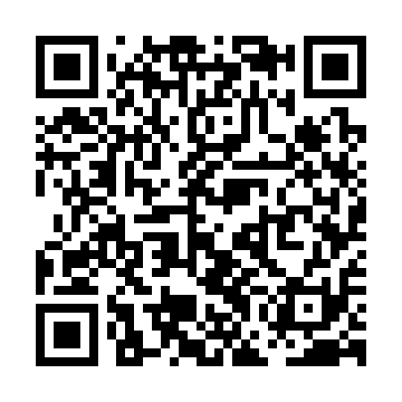 QR code for PGG311
