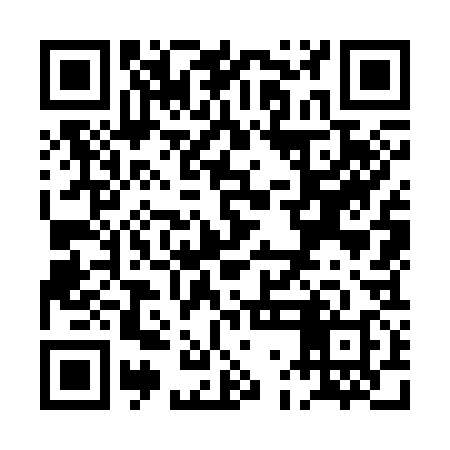 QR code for PGO338