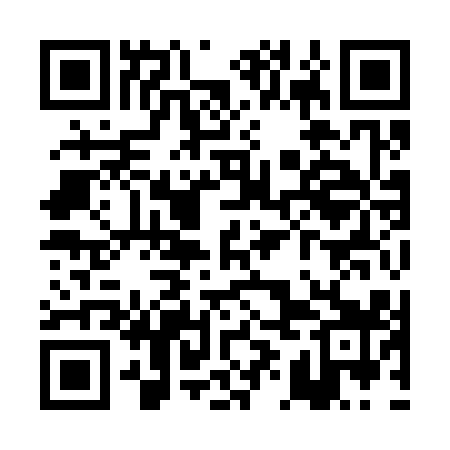 QR code for PII319
