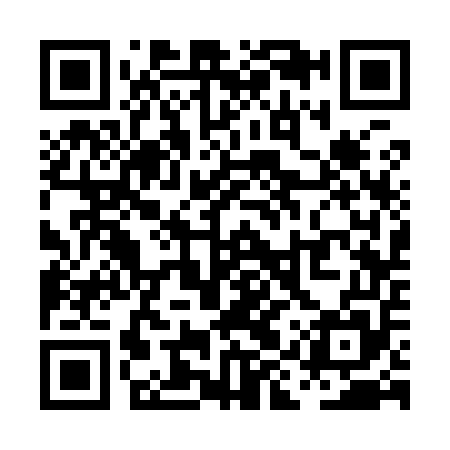 QR code for PIS955