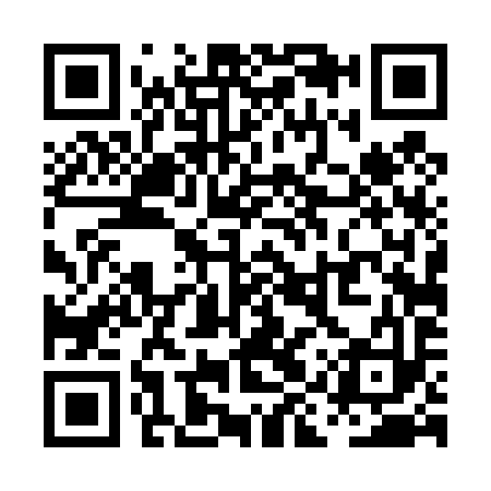 QR code for PIT493