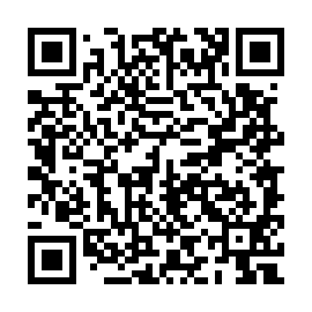QR code for PIT591