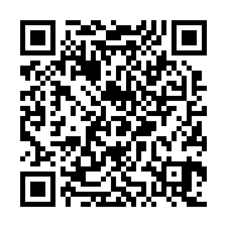 QR code for PKF221
