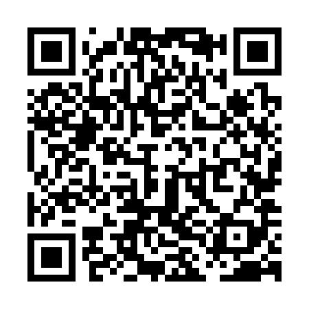 QR code for PLN389