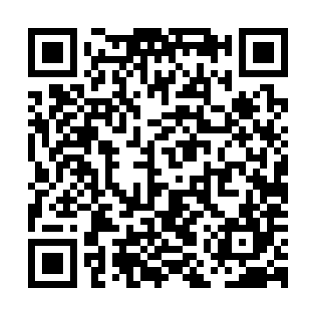QR code for PMT384