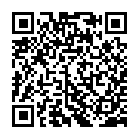 QR code for PNS300