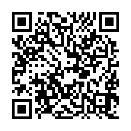 QR code for PNV393