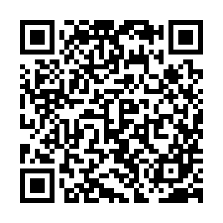 QR code for POI387