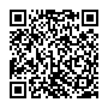 QR code for PPI561