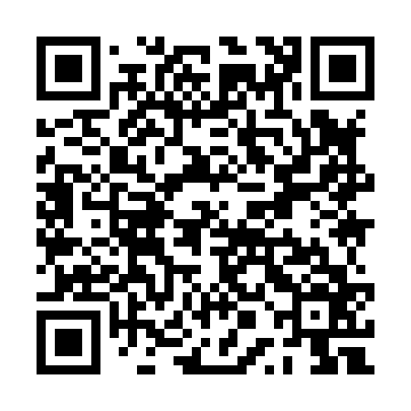 QR code for PPI866