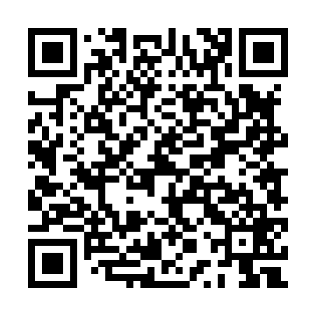 QR code for PPT869