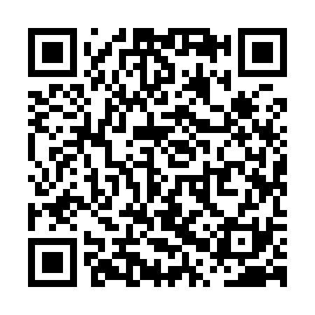 QR code for PPY931