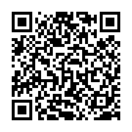 QR code for PUG491