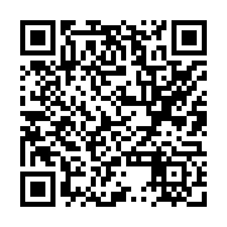 QR code for PUN863