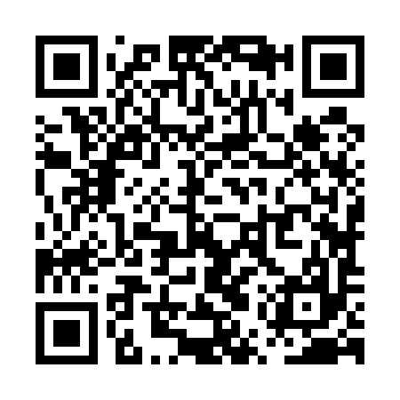 QR code for PUZ597