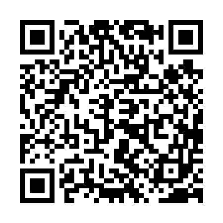 QR code for PVP653