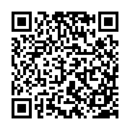 QR code for PVZ307