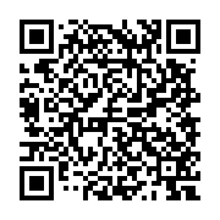 QR code for PYN553