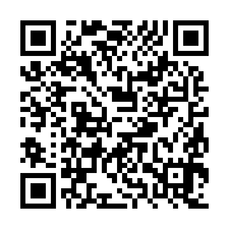 QR code for PYS995