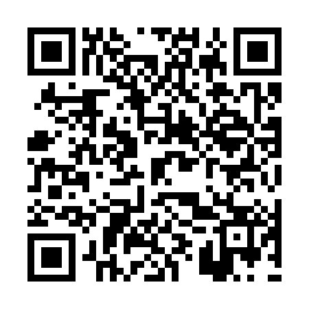 QR code for PYY383