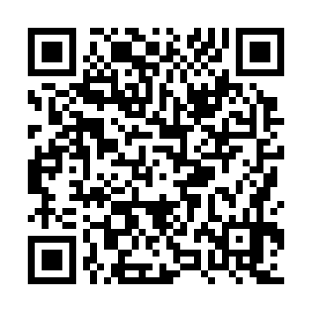 QR code for PZH374