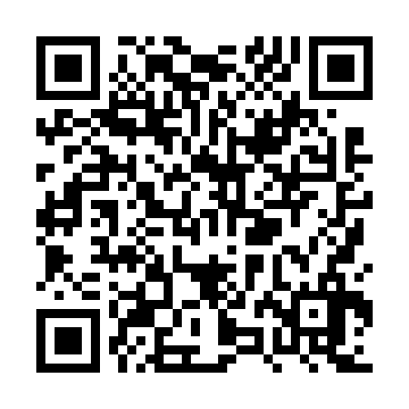 QR code for PZH636