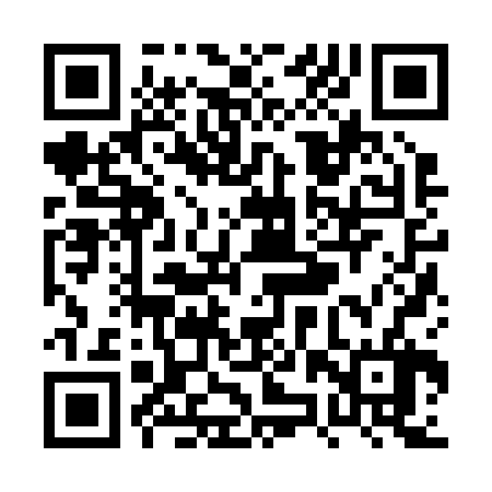 QR code for PZZ226